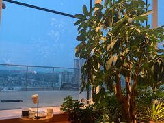 -Seesaw Coffee(朝阳大悦城店)