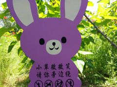 -杭州双溪漂流景区