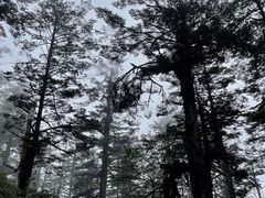 -瓦屋山景区