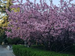 -山东大学(千佛山校区)