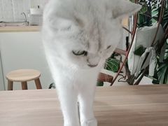 -平行世界·猫咖(首经贸店)