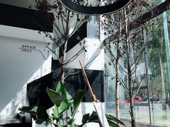 -桉树林A coffee 森林餐厅(三圣乡店)