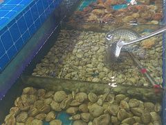 -集杰尚品海鲜烤肉自助餐厅(乳山振华店)