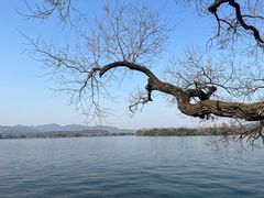 -浙江西子宾馆·瑶园咖啡厅