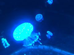 -福州罗源湾海洋世界旅游区