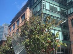 -旧金山现代艺术博物馆