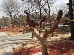 -北京西山国家森林公园