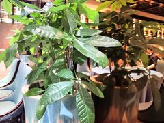 -南堂館川菜文化餐厅(天府店)