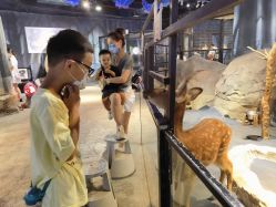 -酷嗒动物文化乐园(cutezoo西溪乐天城店)