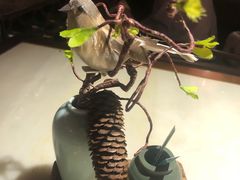 -佬麻雀·剁椒鱼头(京基KK One店)