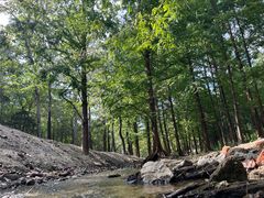 -白水寺森林公园