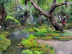 -Chom Cafe and Restaurant