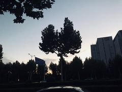 -七欣天(浦东羽山乐坊店)