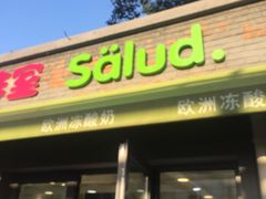 门面-Salud撒露欧洲冻酸奶(798艺术区店)