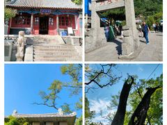 -泰山风景名胜区