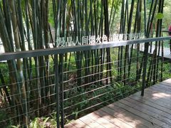 -云溪植物园