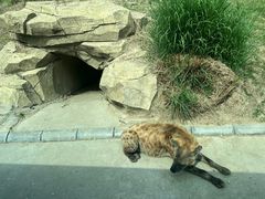 -北京野生动物园