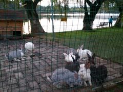 -云南滇池花园国际大酒店温泉