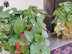 -北京华联购物中心(天通苑店)