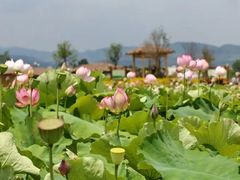 -白沙门生态公园