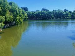 -北陵公园
