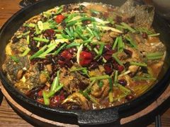 -老板恋上鱼(恒隆广场店)