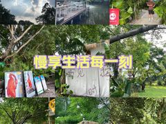 -芭厘农庄老字号·清远鸡