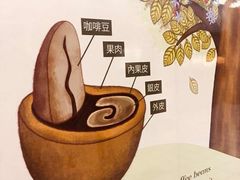 -巴厘岛黄金金兔咖啡工厂