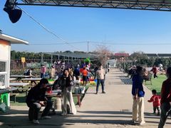 -小鱼草莓采摘园农家乐·小鱼餐厅