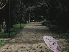 -花溪公园