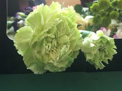 -森野花艺培训·企业团建活动沙龙