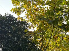 -丹尼斯百货(人民路店)