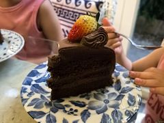 -Fern Forest Cafe
