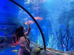 -沈阳海洋探索中心