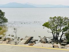 -深圳湾公园(南山区)