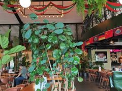 -普兰达德国餐厅·德式脆皮烤猪肘·自酿啤酒(观唐店)