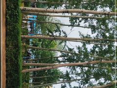 -秦皇岛野生动物园