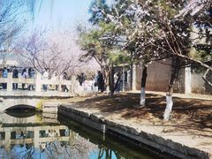 -三里河公园