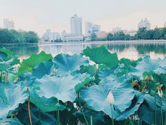 -南通濠河风景名胜区