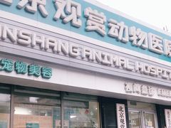 -北京观赏动物医院·24小时大型综合·猫专科·异宠专科