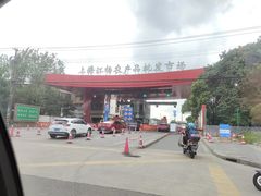 -江杨农产品批发市场