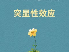 -大鱼心理咨询工作室(静安寺店)