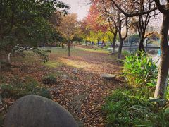 -白塘生态植物园