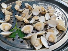 白贝-海大大蒸汽海鲜餐厅·粤菜·特色小炒(欢乐颂店)