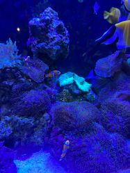 -Zoolung Zoolung动物主题公园(海信广场店)