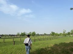 -汉长安城未央宫国家考古遗址公园