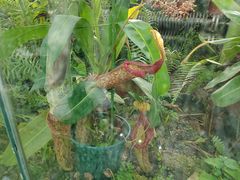 -国家植物园南园