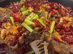 -老板恋上鱼(恒隆广场店)