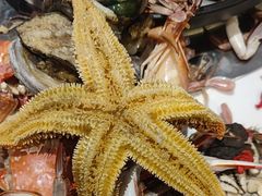 -半岛听涛蒸汽海鲜自助(K11店)