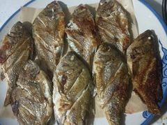 -渔家小院观海海肠捞饭地方菜(环海中路店)